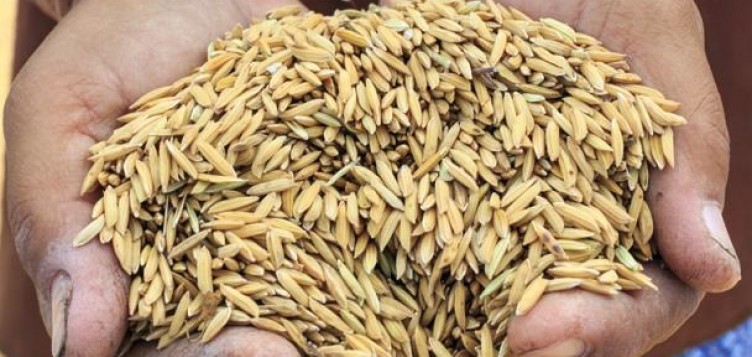 新的科技可能让食品检验更便宜更快捷