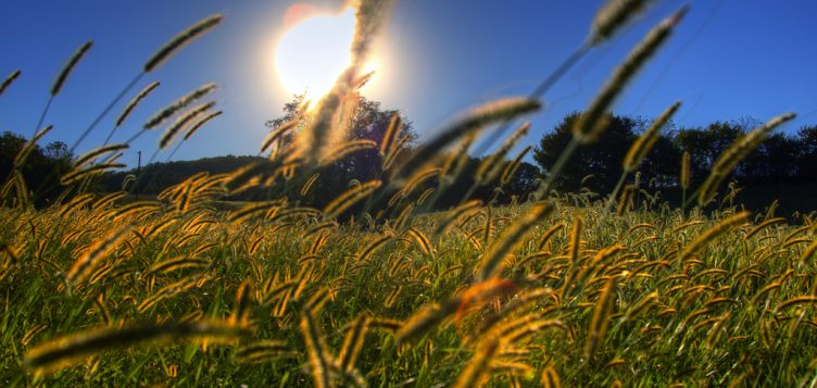 Abdul Latif Jameel Energy and Environmental Services’ FRV announces second large-scale solar plant power purchase agreement in Australia with Origin