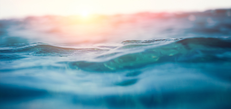 Realizing our vision for a sustainable future