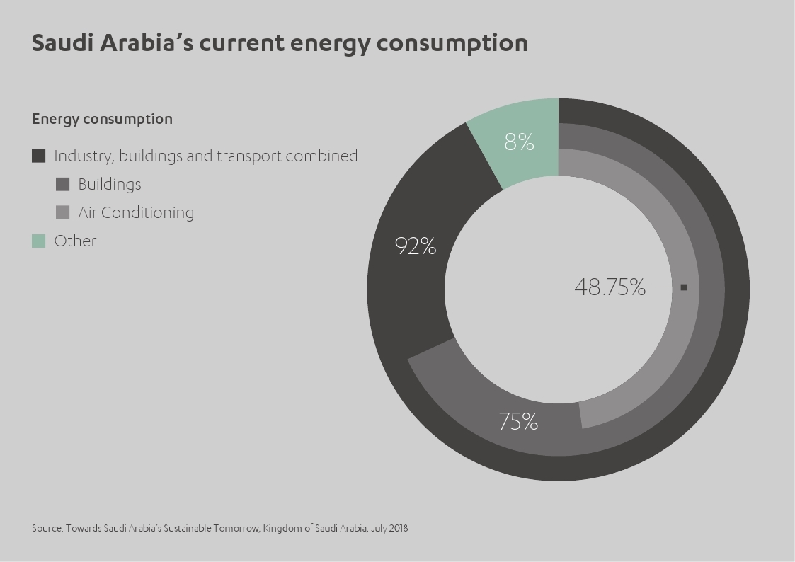 Saudi Arabia Energy Consumption