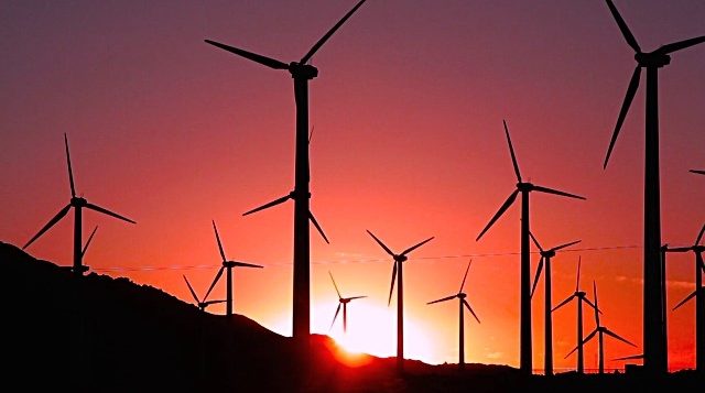 Where the wind blows: Building a cleaner future with wind energy