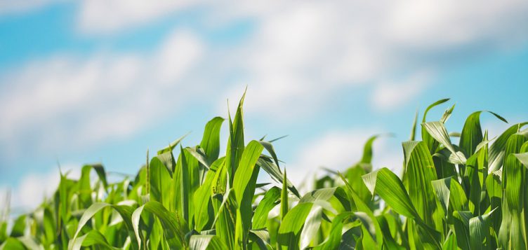 J-WAFS announces seven new seed grants