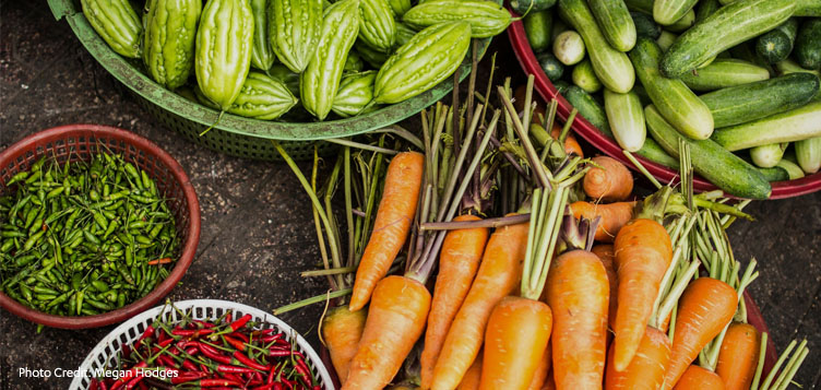 J-WAFS researchers bid to strengthen China’s food system
