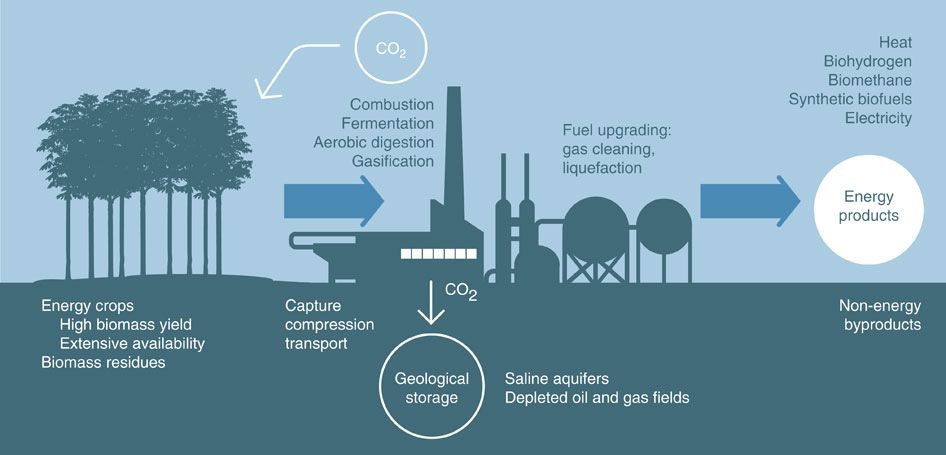 Title: BECCS: Generating bioenergy from carbon capture  Source: Nature Climate Change journal, volume 5,  2015