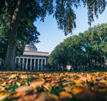 Photo credit: © Lillie Paquette.