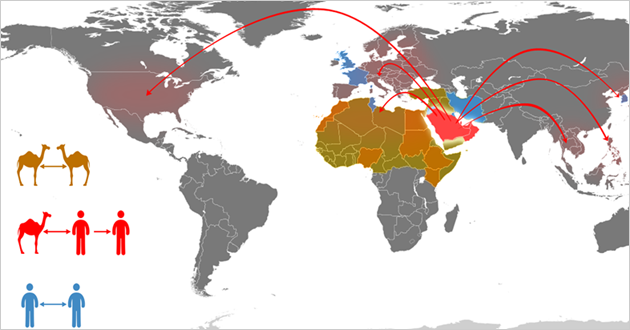 The spread of MERS-CoV between animals and humans across the globe.  Image credit © WHO