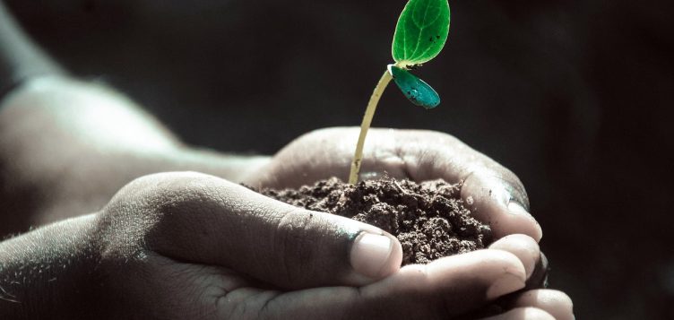#WorldSoilDay2019: Stop soil erosion, Save our future