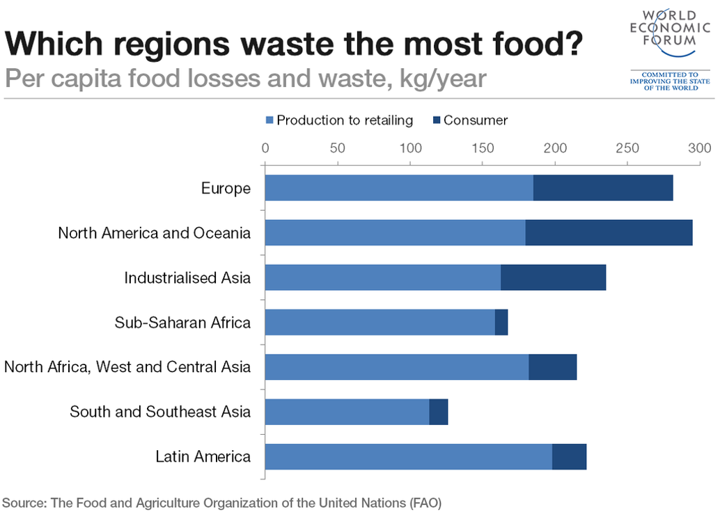 Food Waste per Capita
