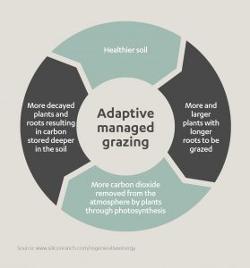 Adaptive Managed Grazing