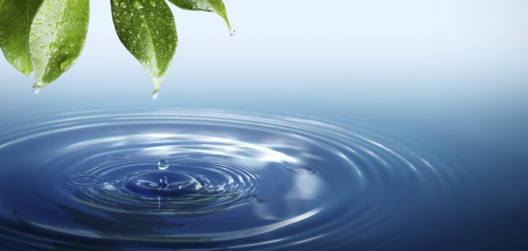 J-WAFS releases special edition newsletter for World Water Day