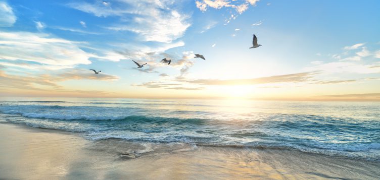 World Oceans Day 2020