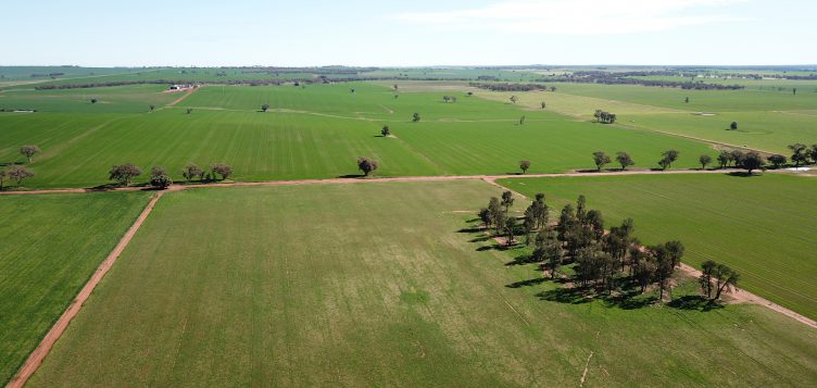 Abdul Latif Jameel Energy cierra un acuerdo de ‘Green Finance’ para la séptima planta solar en Australia