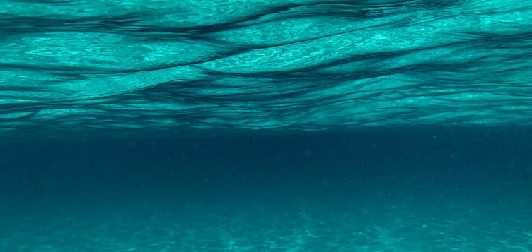 Almar Water Solutions, Abdul Latif Jameel’in dönüm noktası sayılabilecek 75. yıldönümündeki başarılarını takdir ediyor